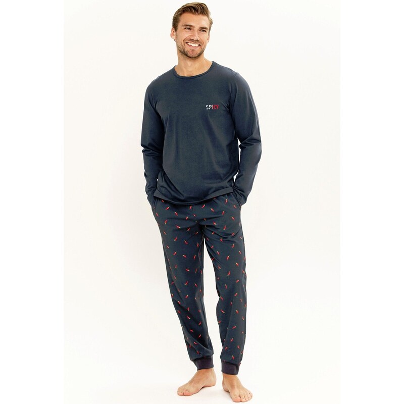 Taro Pánske bavlnené pyžamo Eric, Farba morská 57810711