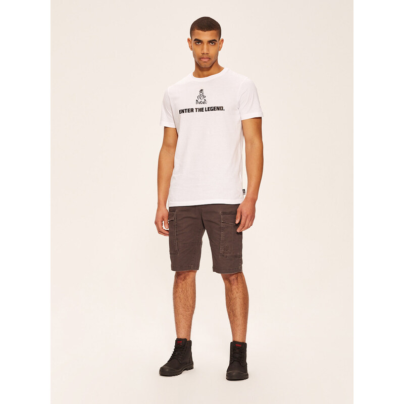 Diverse Mens shorts DKR CARGOS 50539286