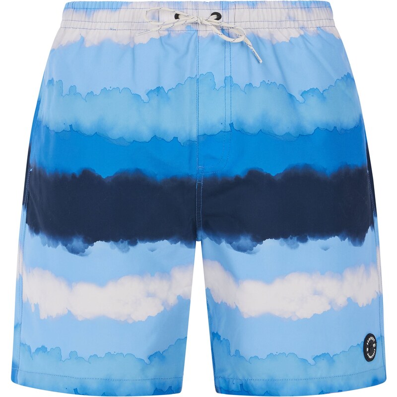 Mens beach shorts Protest PRTHAMSEY 59806975