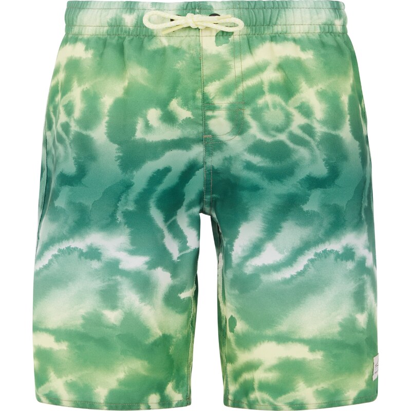 Boys beach shorts Protest PRTDANIEL JR 59807037