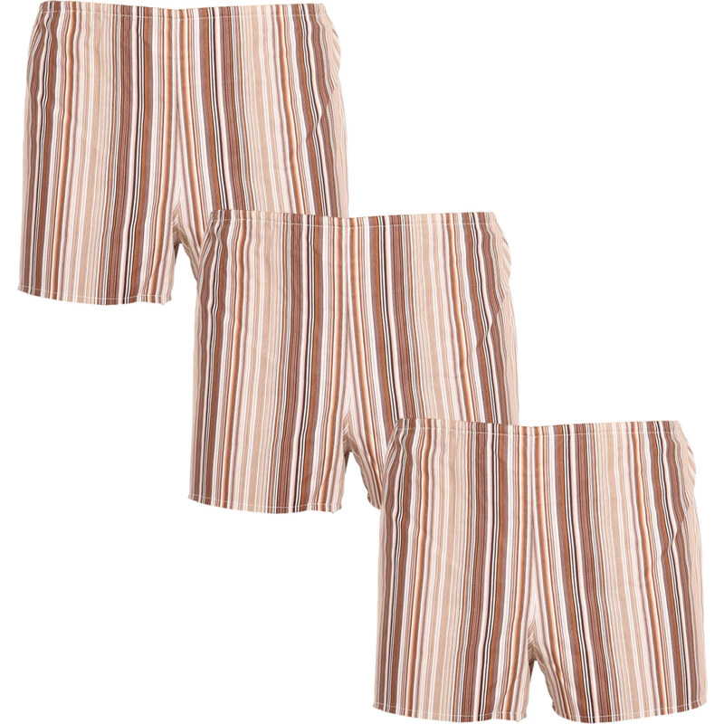 3PACK Klasické pánske trenky Foltýn hnedé s prúžkami (3xK53) 39538932