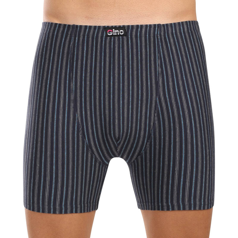 Pánske boxerky Gino viacfarebné (74169-DCMDxA) 60406486