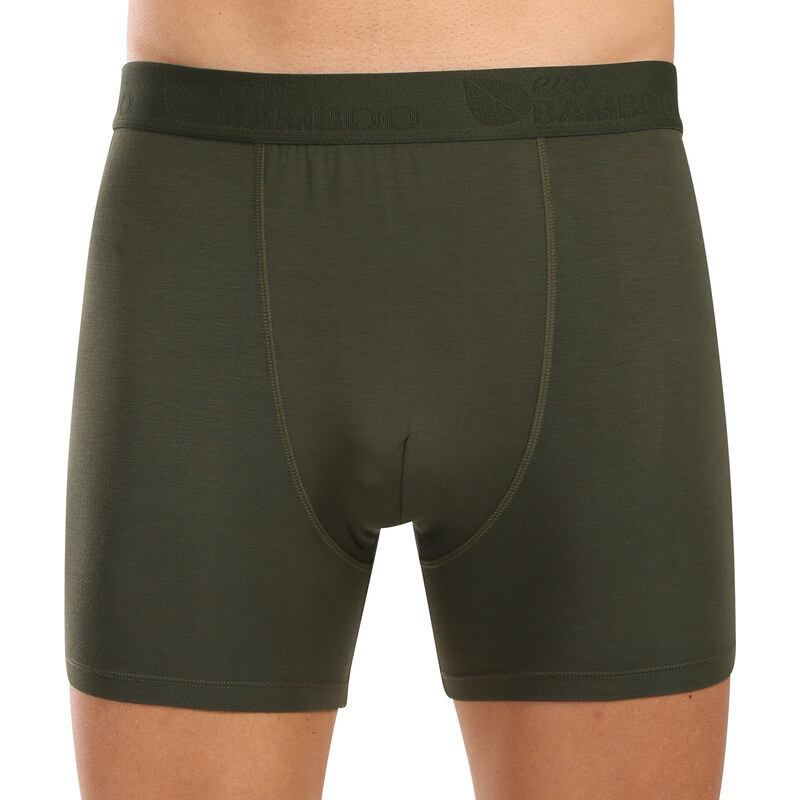 Pánske boxerky Gino zelené (74160-DCZ) 60406492