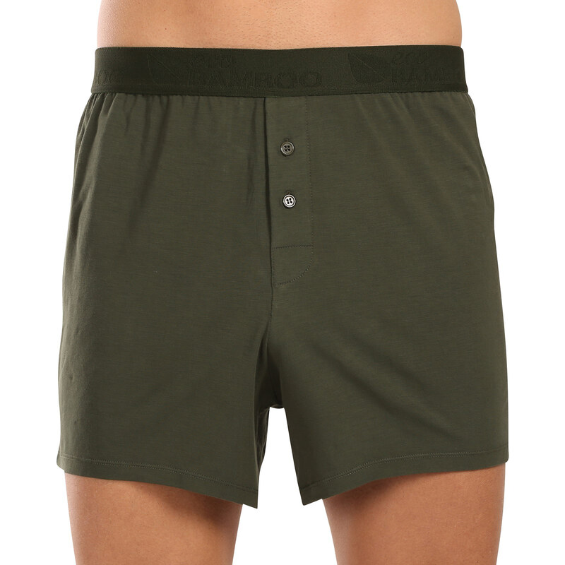 Pánske trenky Gino bambusové zelené (75195-DCZ) 60406493