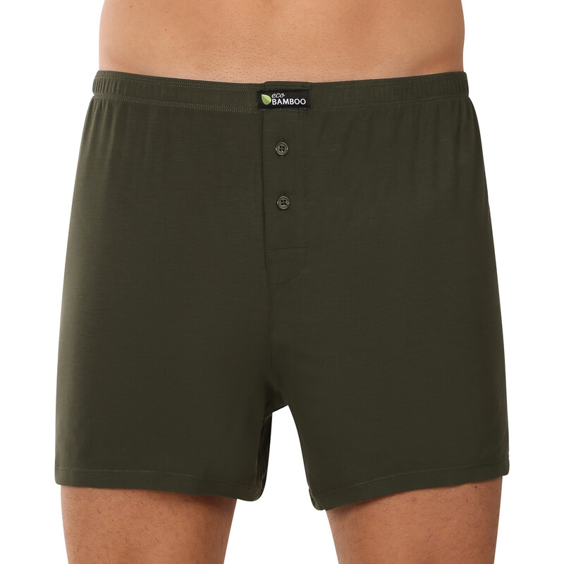 Pánske trenky Gino bambusové zelené (75194) 60689711