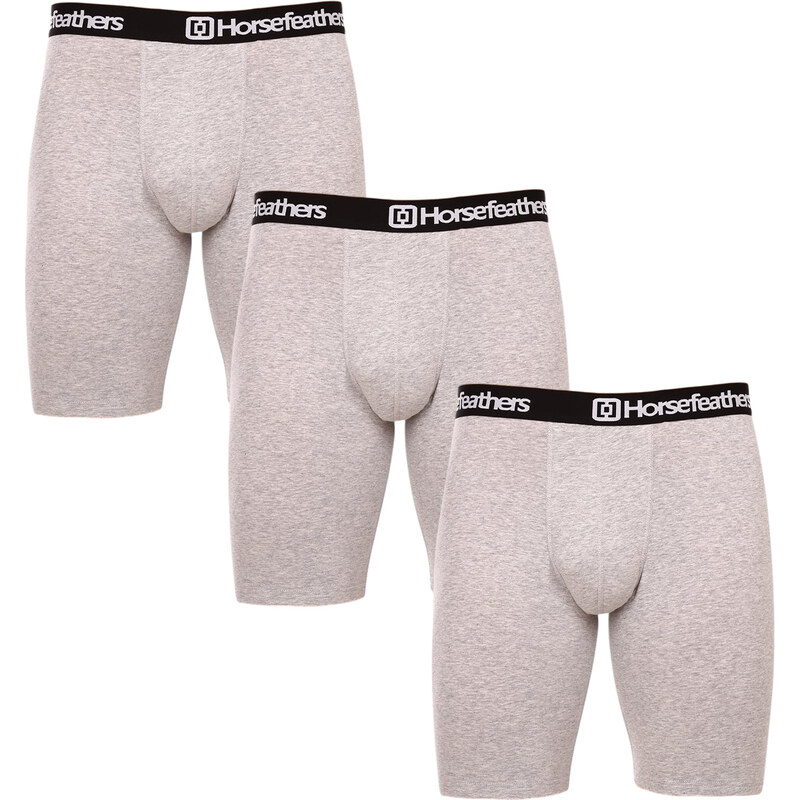 3PACK pánske boxerky Horsefeathers Dynasty long (AM195C) 36132916