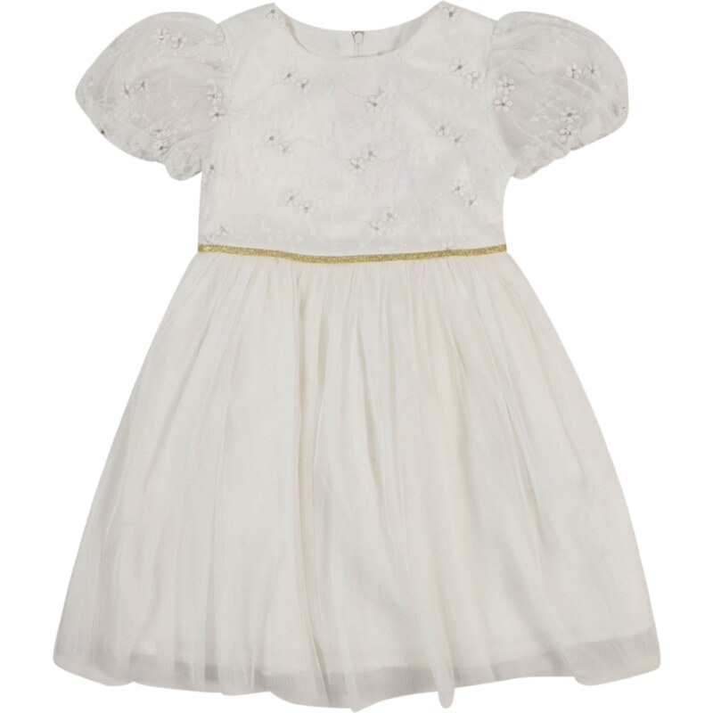 Danamade Šaty nebielená / zlatá / sivá 60918873