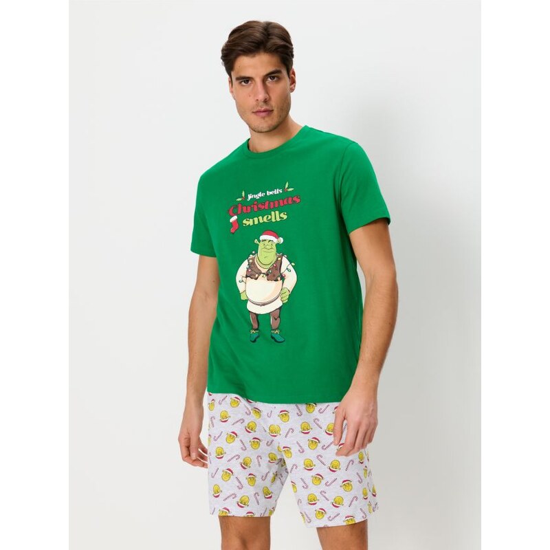 Sinsay - Dvojdielne pyžamo Shrek - zelená 65742071