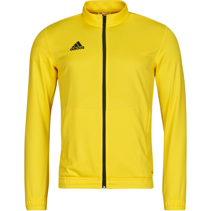 adidas Bundy HI2134 adidas 65471084