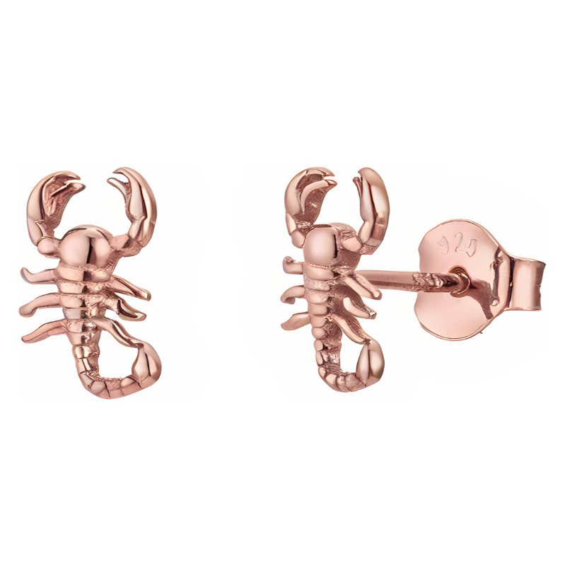 Olivie Stříbrné náušnice ŠTÍR ROSE 9345 65048774