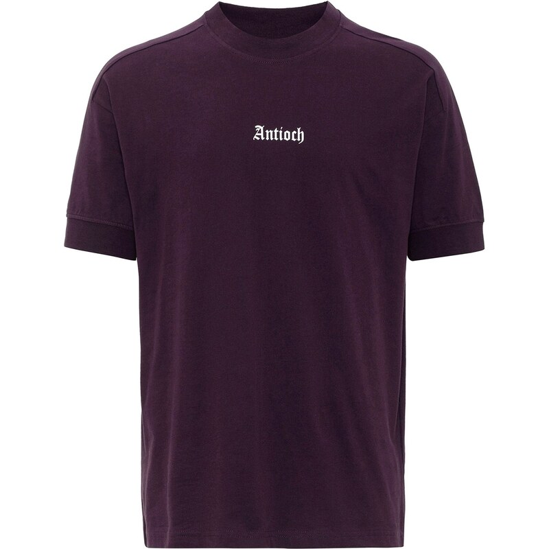 Antioch Tričko hnedá / biela 62052736