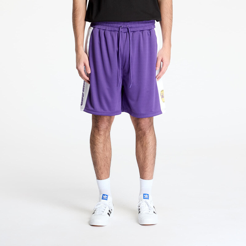 Šortky New Era Los Angeles Lakers NBA Graphic Mesh Shorts True Purple 62334490