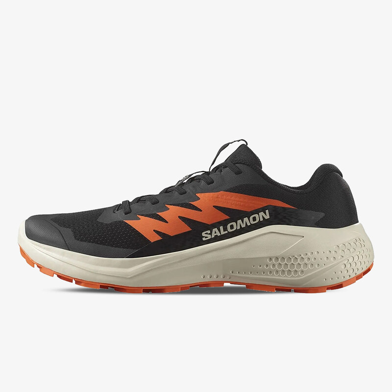 Salomon Alphaglide EUR 42 2/3 63096728