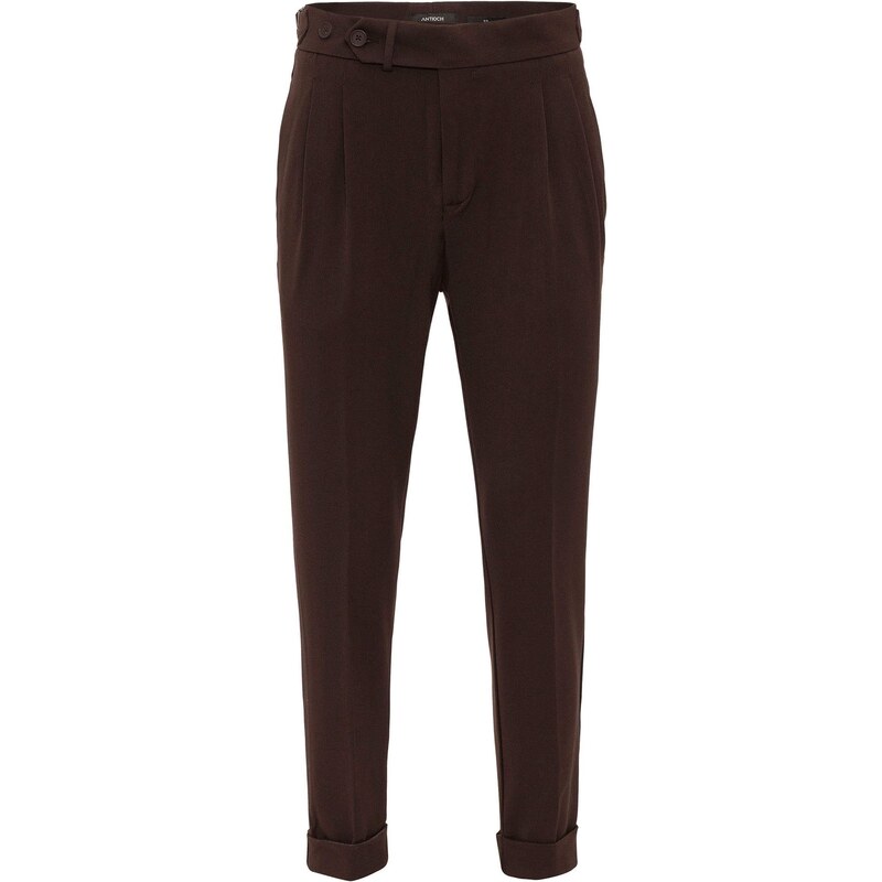 Antioch Plisované nohavice hnedá 63155989