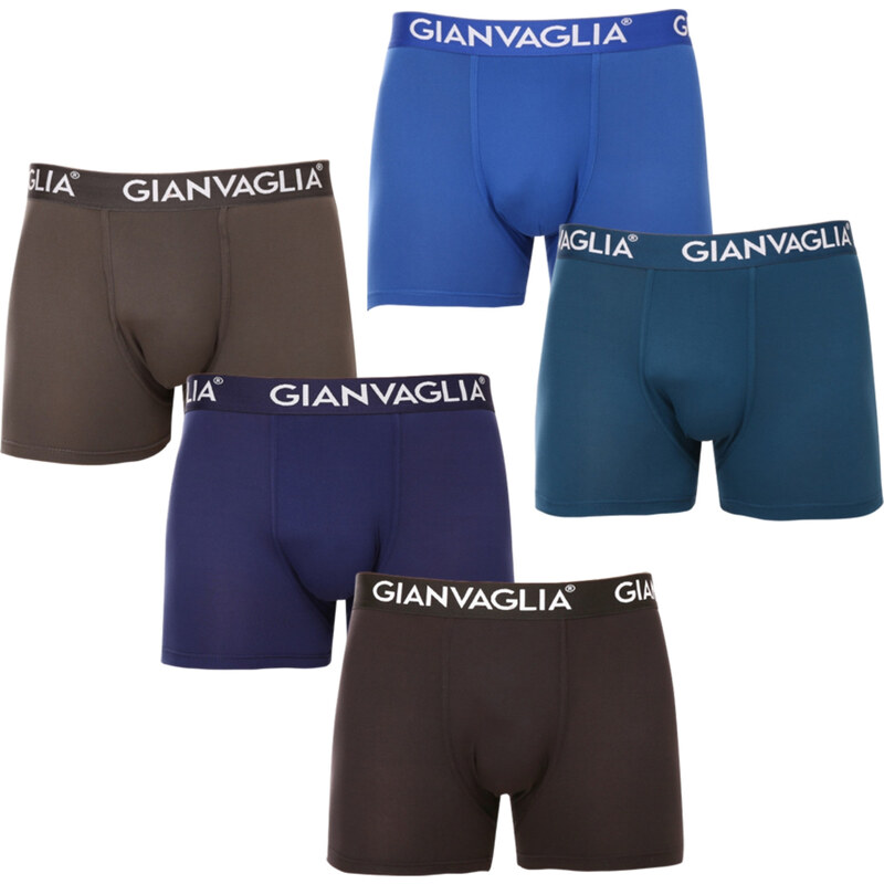 5PACK pánske boxerky Gianvaglia viacfarebné (GVG-5007) 40923947