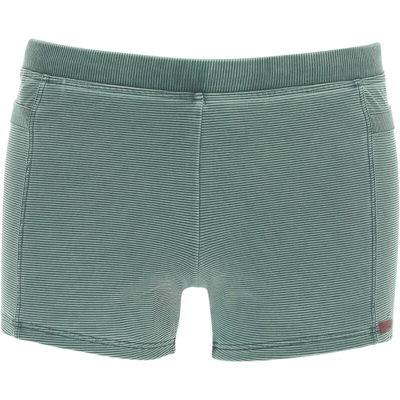 wavebreaker Plavky pastelovo zelená 62662983