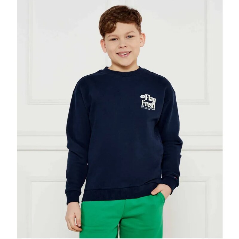 Tommy Hilfiger Mikina | Regular Fit 61110781