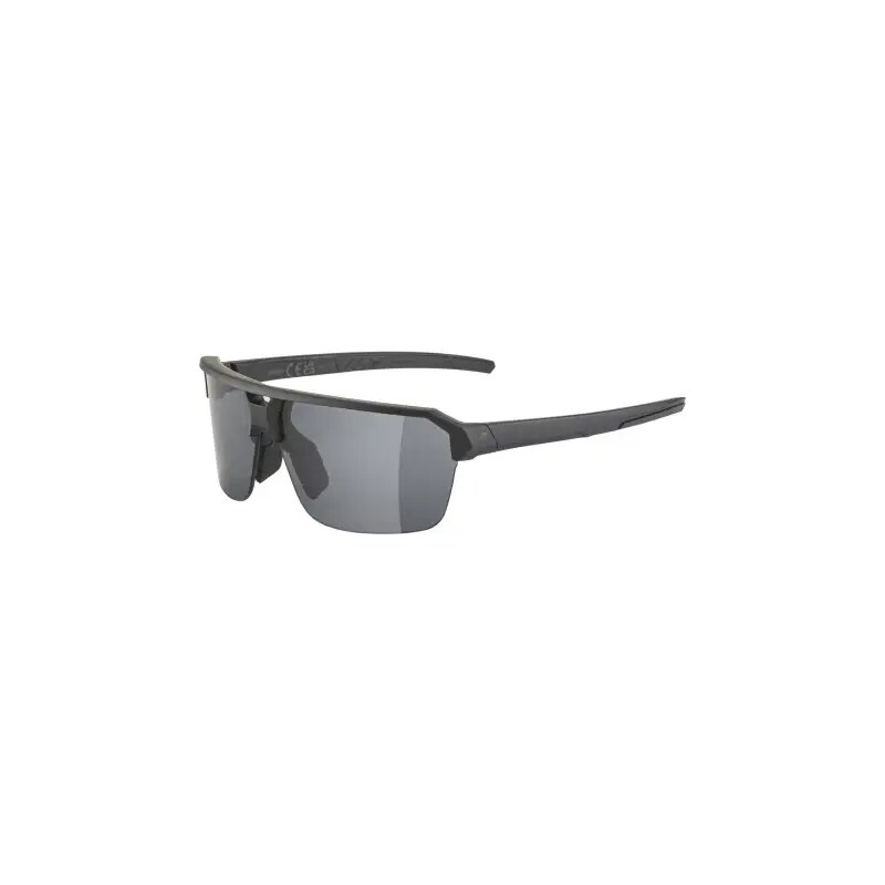 Alpina Swift HR okuliare Black Matt 62895398