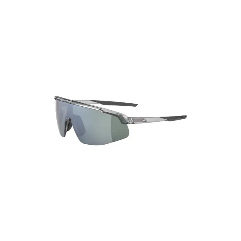 Alpina Turbo PRO Q-lite okuliare Grey Transparent Gloss 62895402