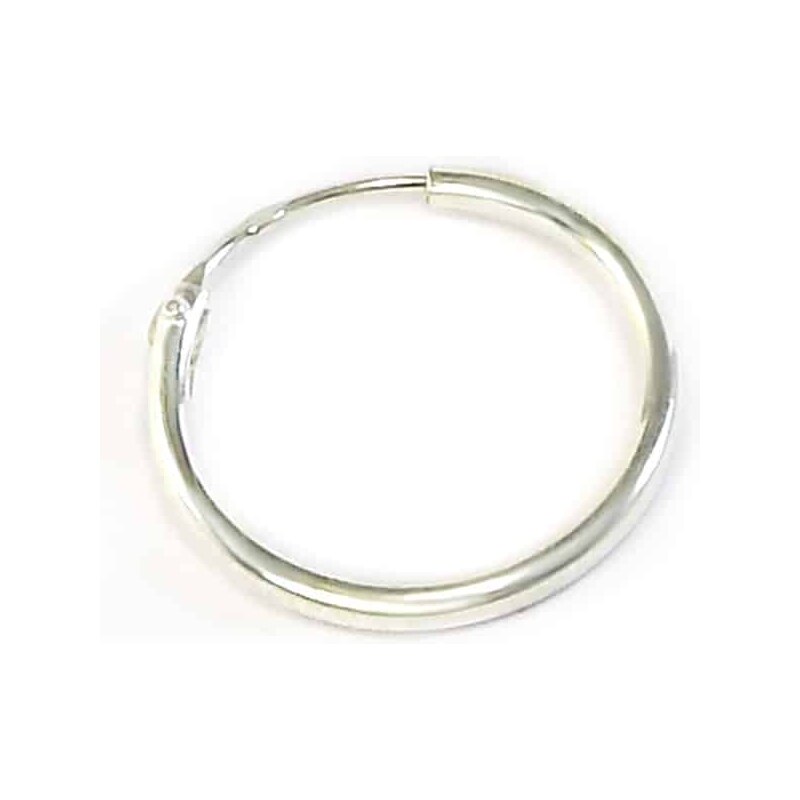 Strieborná náušnica Glare 754 62921237