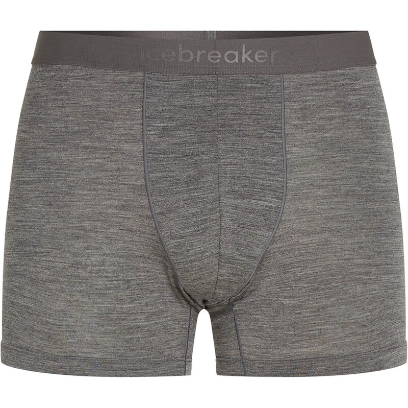 ICEBREAKER Športové nohavičky 125 Anatomica sivá 63066853