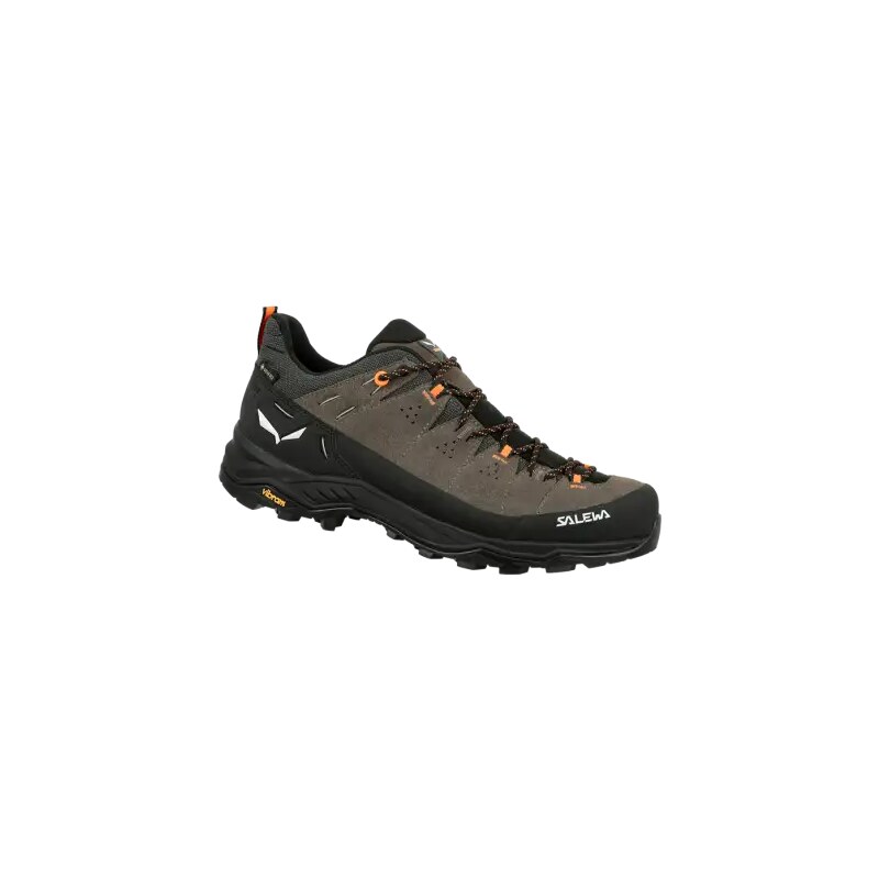 E-shop Salewa Alp Trainer 2 GTX pánske topánky Bungee Cord/Black vel.