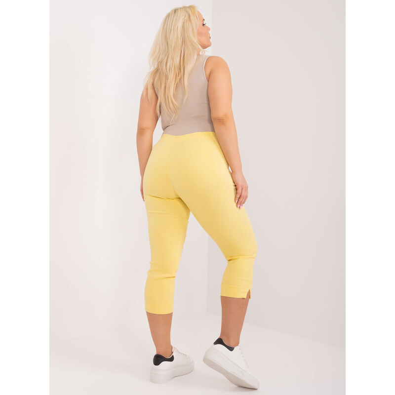 Nohavice Plus size AT-SP-1863.37 New Fashion 64237865