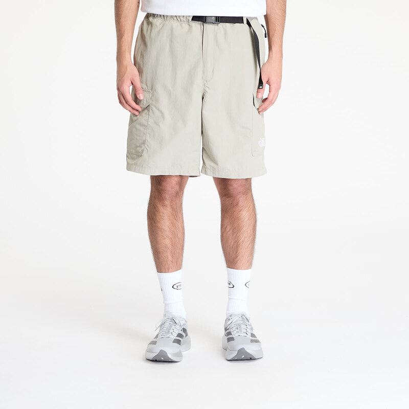 Šortky The North Face M Nse Short Clay Grey XL 63106458
