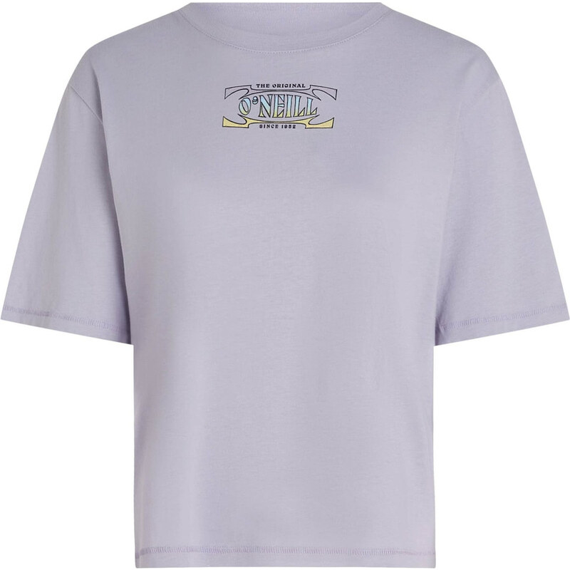 ONEILL Tričko fialová / zmiešané farby 63166365