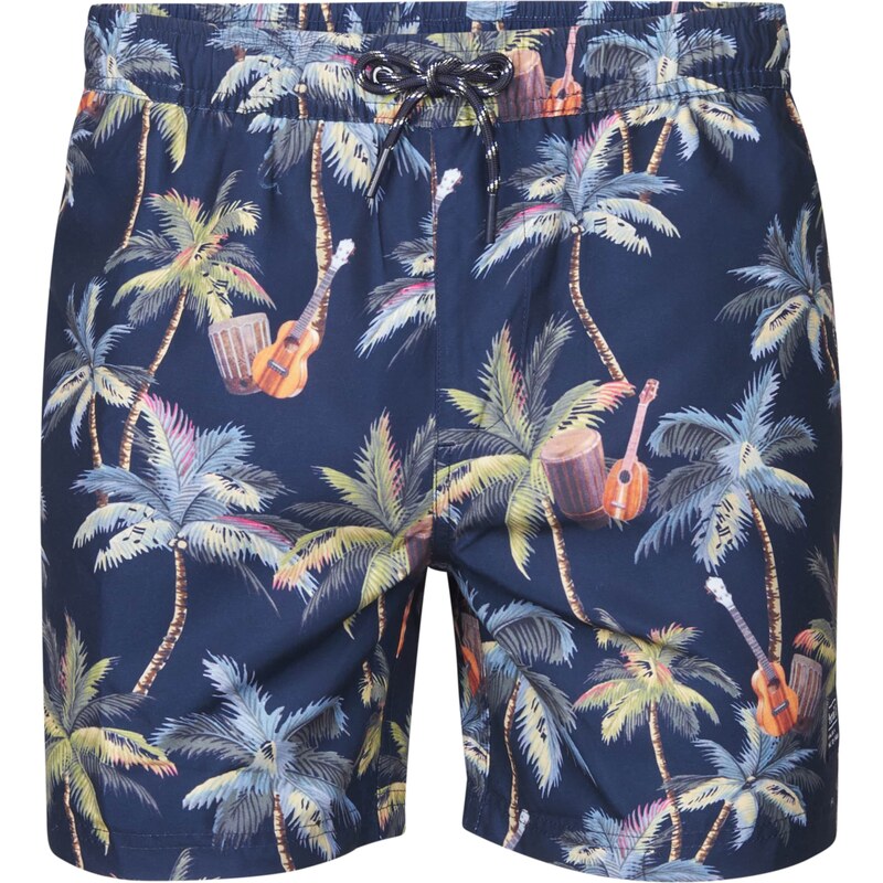 Petrol Industries Plavecké šortky Wavecrestway modrá / zmiešané farby 63219659