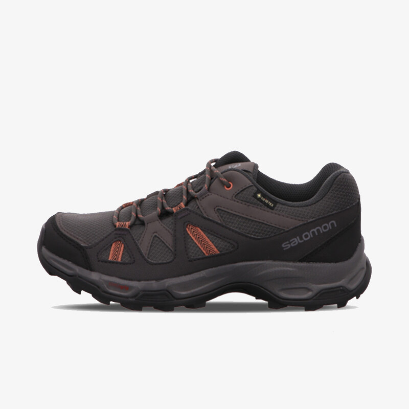 Salomon RHOSSILI GTX W EUR 37 1/3 64210095