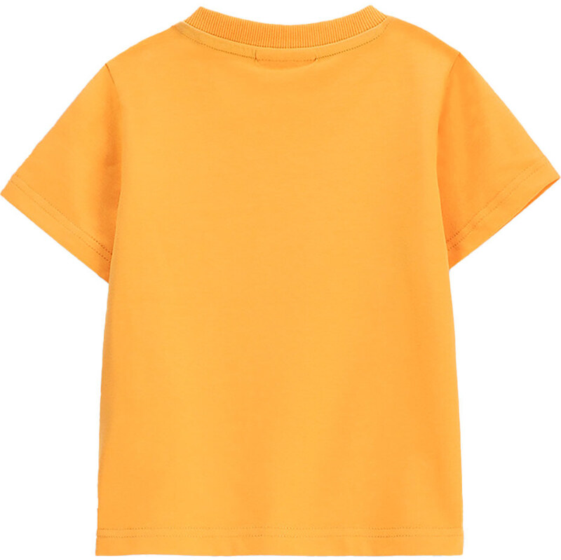 Tričko Coccodrillo 63304092