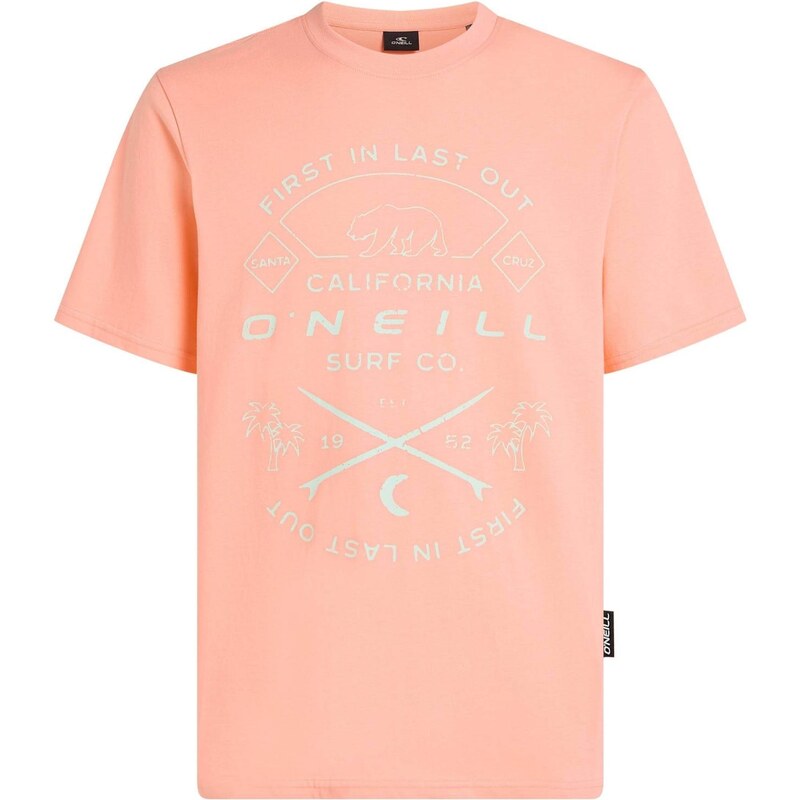 ONEILL Tričko svetloružová / šedobiela 63336464