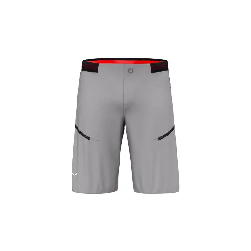 E-shop Salewa Pedroc PRO Durastretch Cargo pánske kraťasy Alloy vel. L