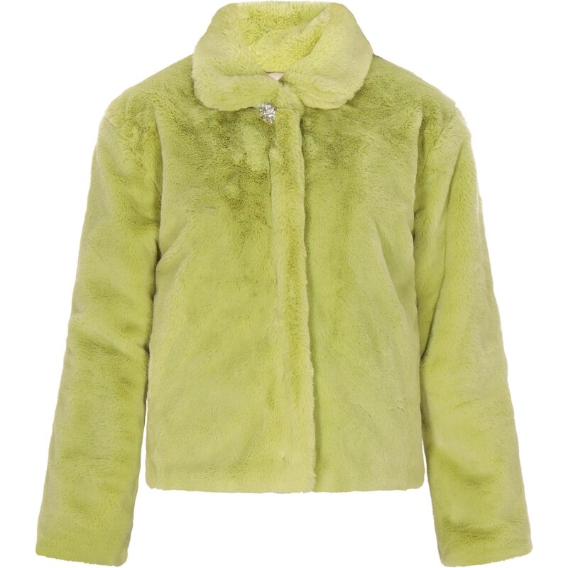 faina Prechodná bunda zelená 63346841