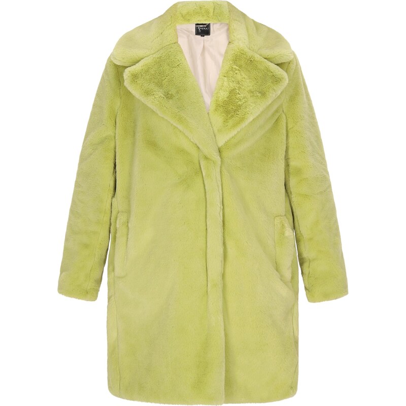 faina Zimný kabát zelená 65873681