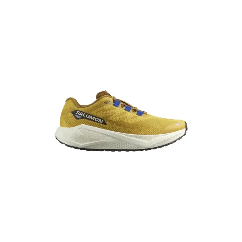 E-shop Salomon Aero Blaze 3 GRVL pánska bežecká obuv Spicy Mustard vel.