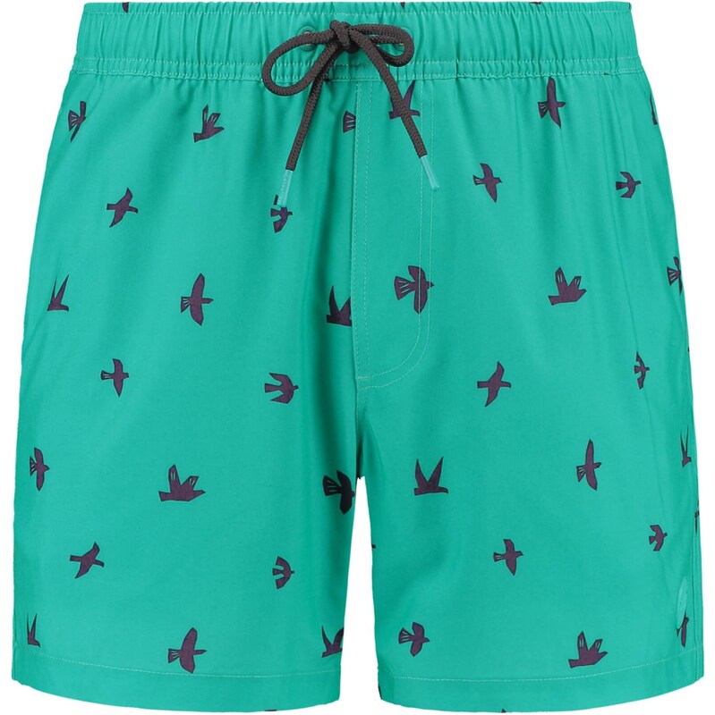 Shiwi Plavecké šortky Scott Birds námornícka modrá / nefritová 63430950