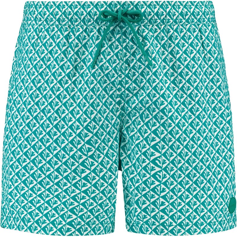 Shiwi Plavecké šortky Nate modrá 63430952