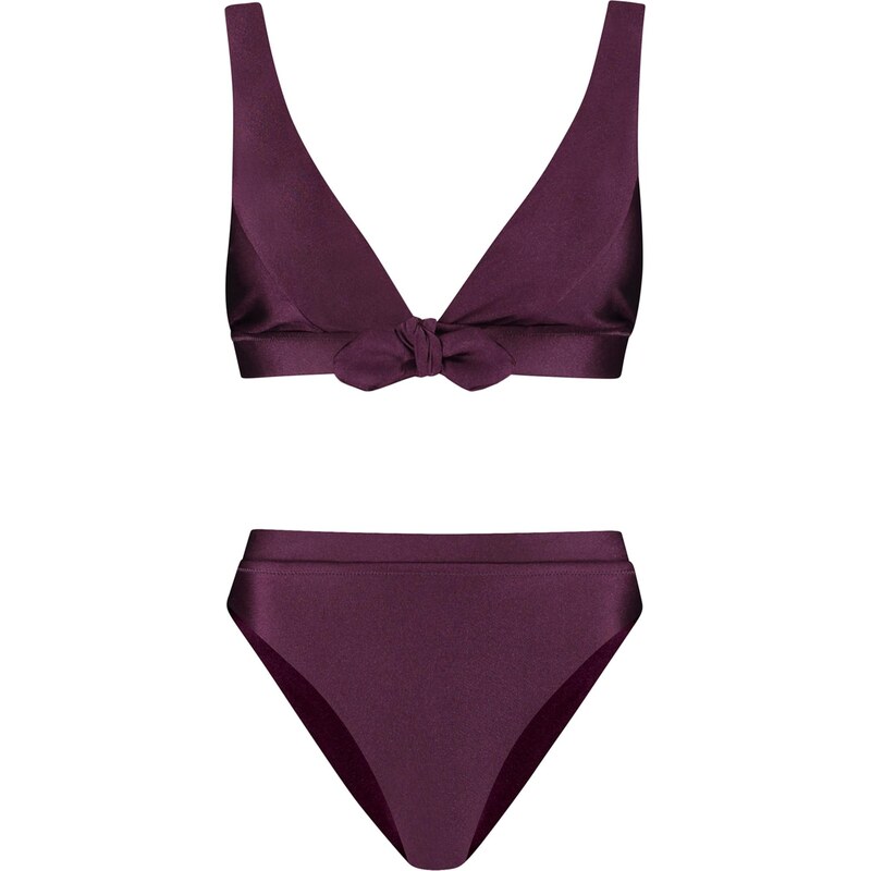 Shiwi Bikiny fialová 65651506