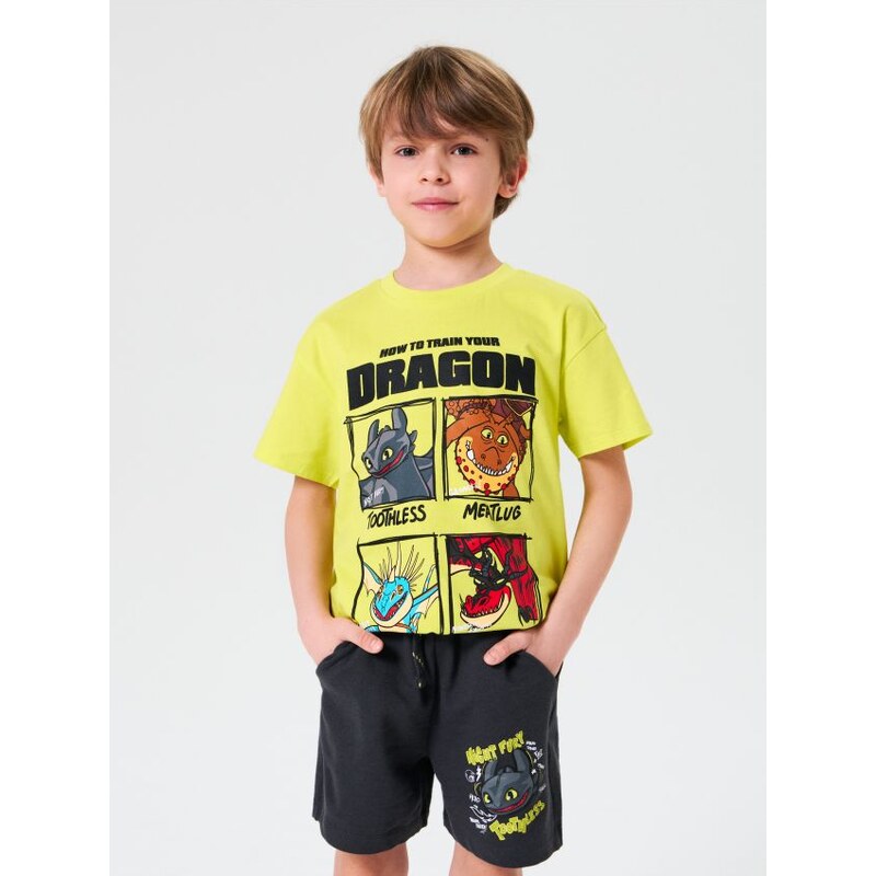 Sinsay - Kraťasy How to train your dragon - antracitová 65741348