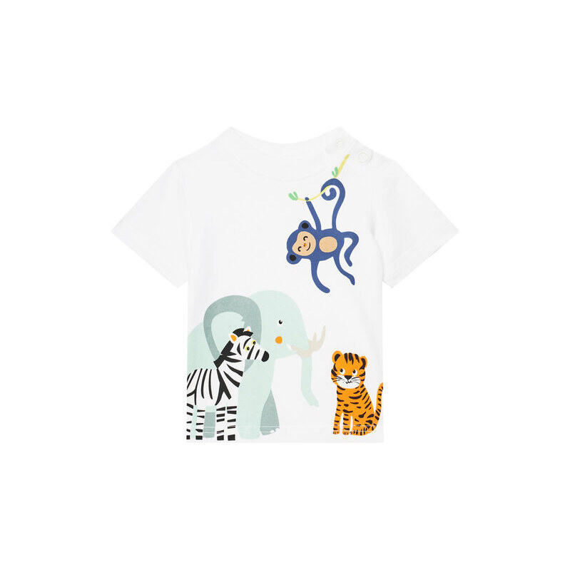 Tričko Coccodrillo 63678585