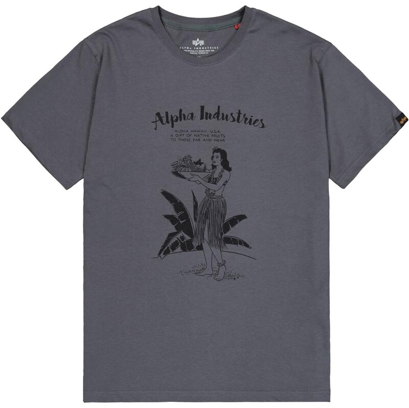 ALPHA INDUSTRIES Tričko Hawaii tmavosivá / čierna 63724447