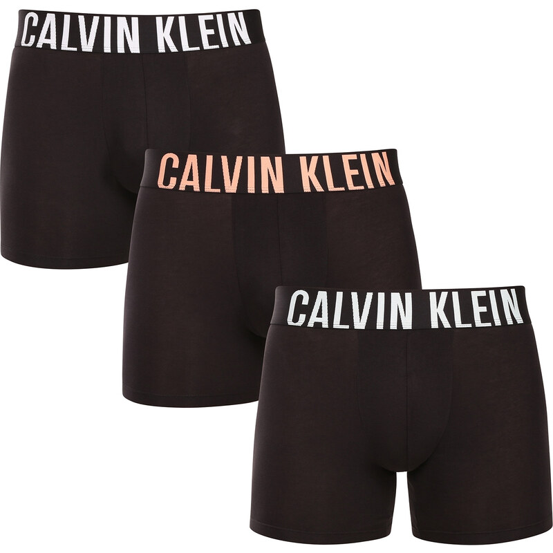 3PACK pánske boxerky Calvin Klein čierne (NB3609A-VVN) 63800769