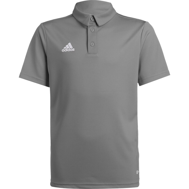 ADIDAS PERFORMANCE Funkčné tričko Entrada 22 sivá / šedobiela 63806127