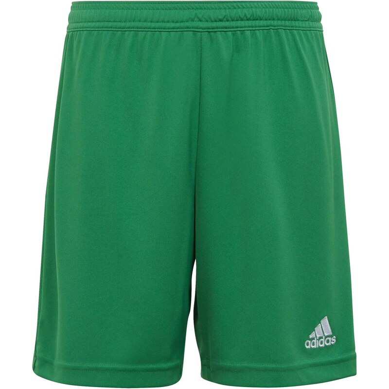 ADIDAS PERFORMANCE Športové nohavice Entrada 22 trávovo zelená 63817509