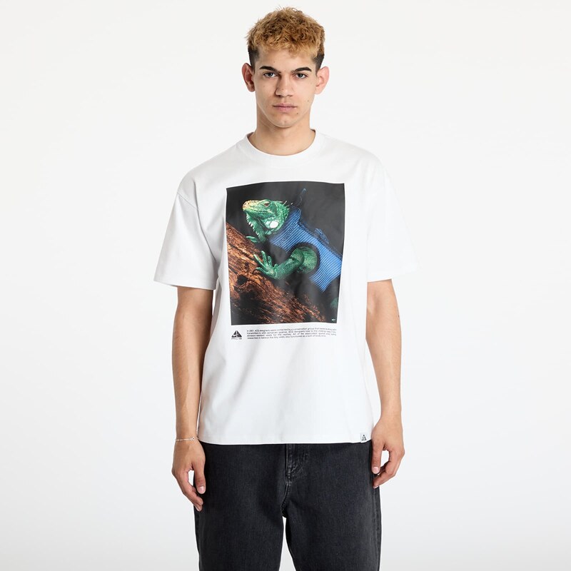 Tričko Nike ACG Mens Dri-Fit T-Shirt Summit White S 63294717