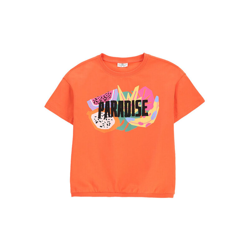 Tričko Coccodrillo 64002230