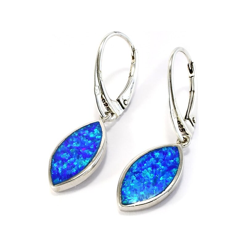 Strieborné náušnice Glare 826 64014070