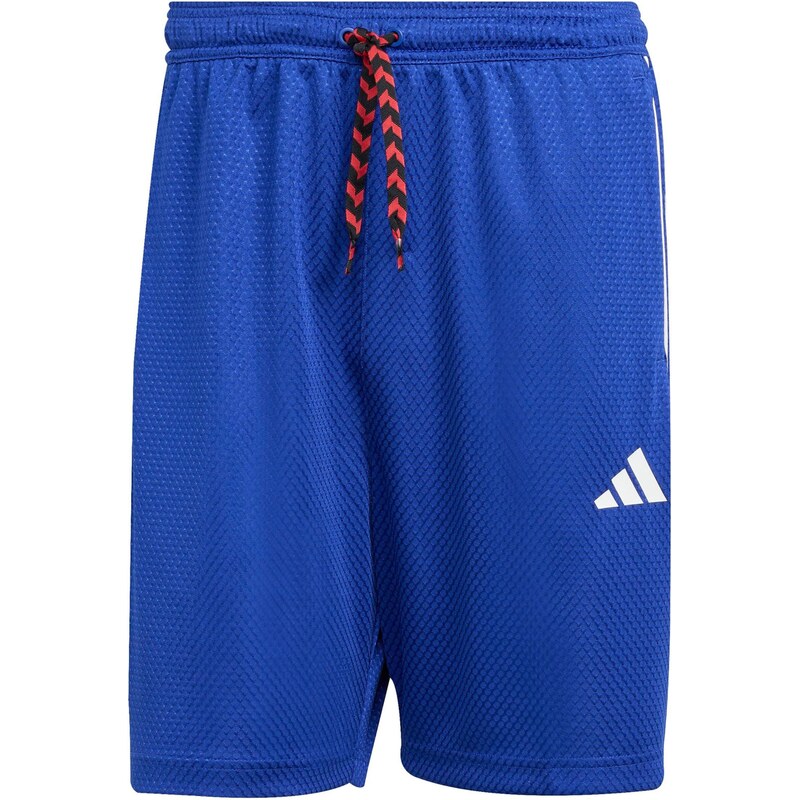 ADIDAS SPORTSWEAR Športové nohavice TIRO modrá / červená / biela 64131666